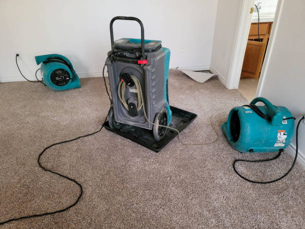 Best Water damage restoration experts  in Southfield, MI