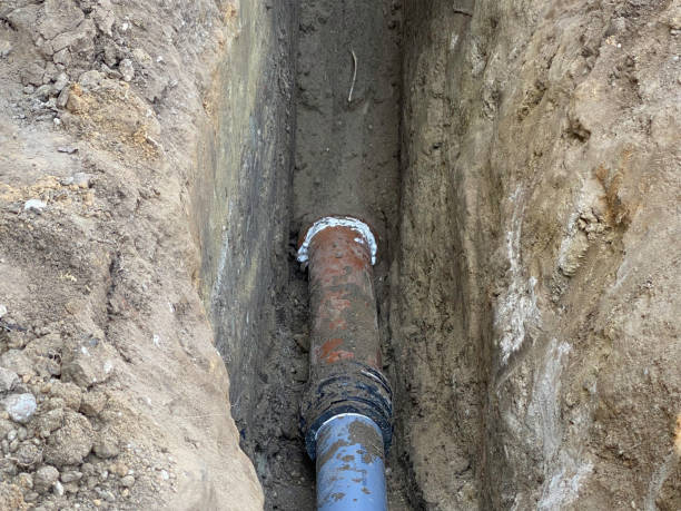 Best Basement water damage restoration  in Southfield, MI