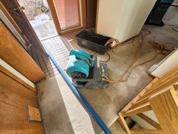  Southfield, MI Water damage restoration Pros