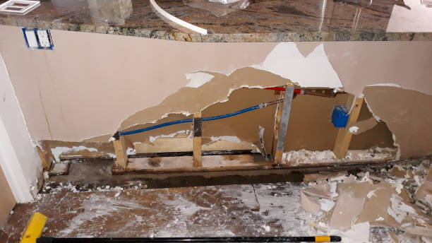 Best 24-hour water damage restoration  in Southfield, MI